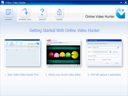 Online Video Hunter Professional 2.5 