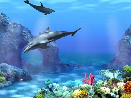 Dolphins 3D Screensaver and Animated Wallpaper 1.0 Build 3 RUS 