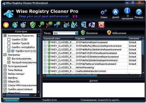 Wise Registry Cleaner Pro 5.72 Build 315 Rus 